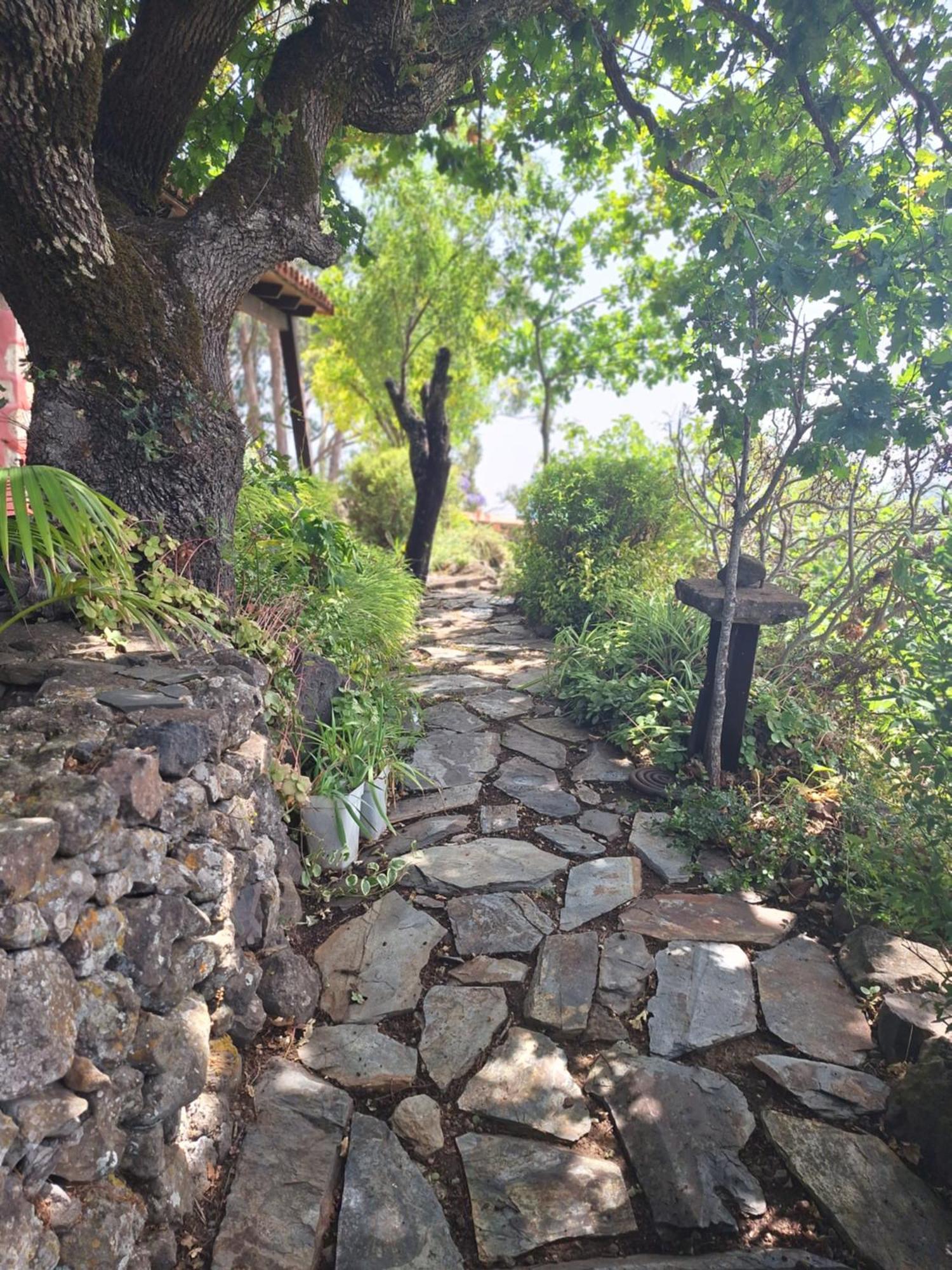 Casa Rural Con Piscina Privada El Roble Moya  Exteriör bild