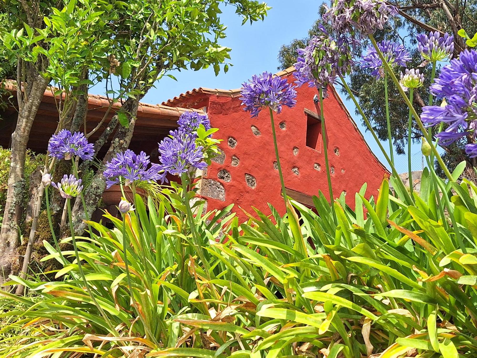 Casa Rural Con Piscina Privada El Roble Moya  Exteriör bild