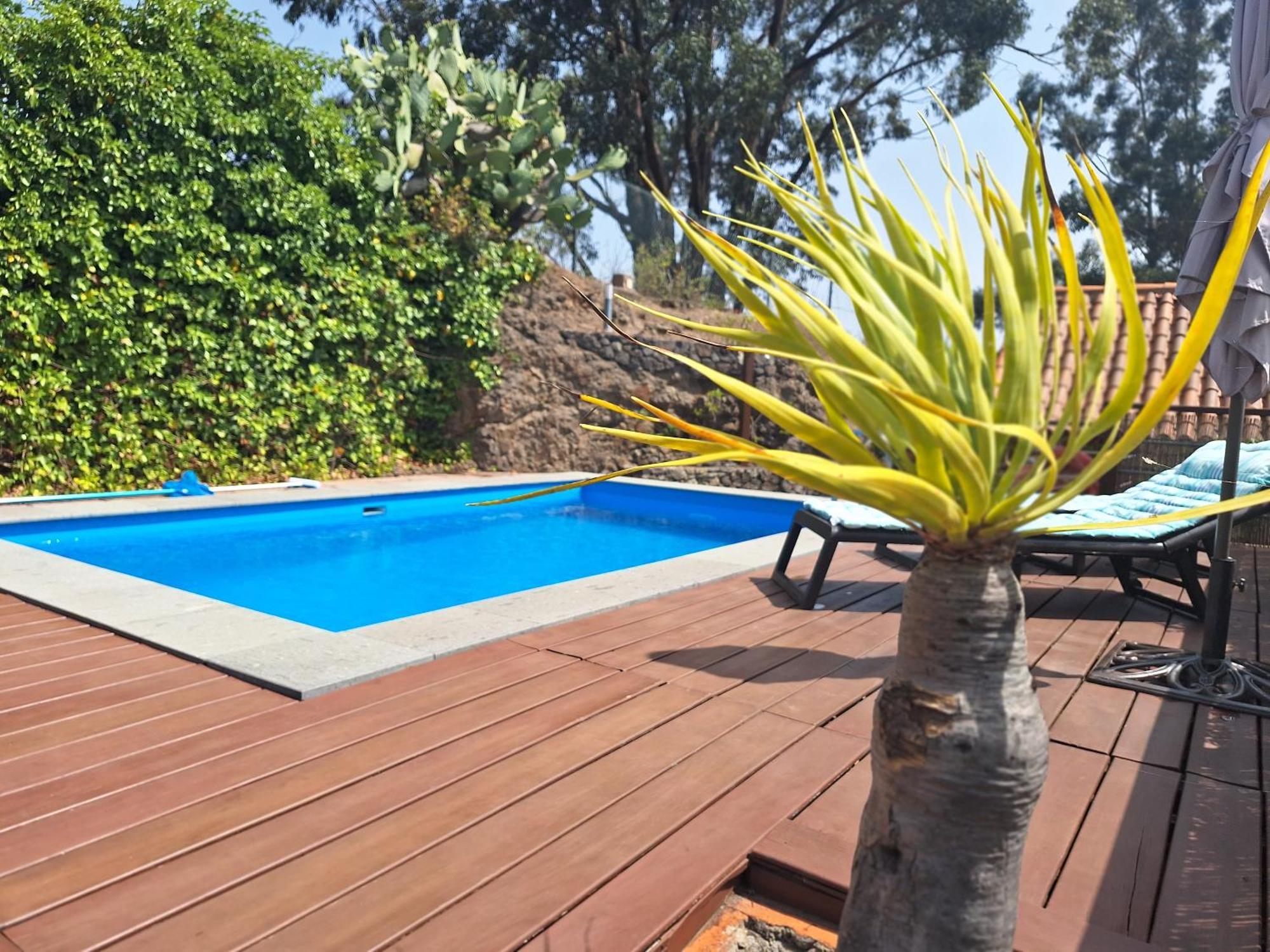 Casa Rural Con Piscina Privada El Roble Moya  Exteriör bild
